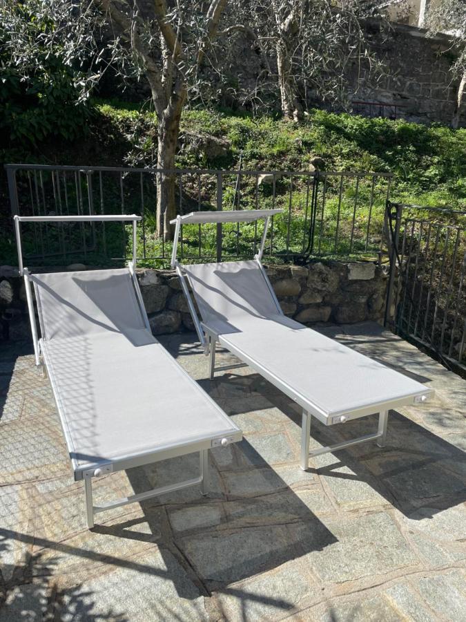 Casa Delle Olive 1 Lejlighed Oliveto Lario Eksteriør billede