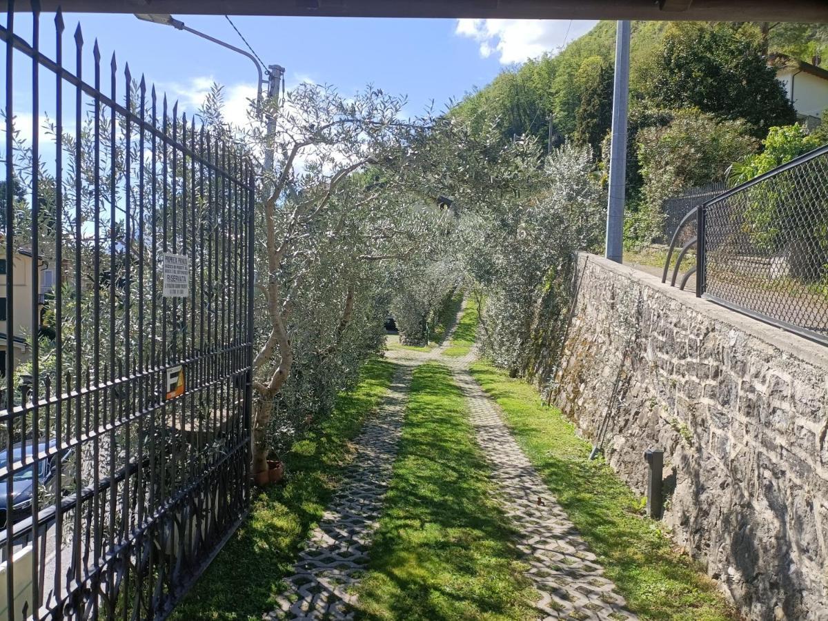 Casa Delle Olive 1 Lejlighed Oliveto Lario Eksteriør billede